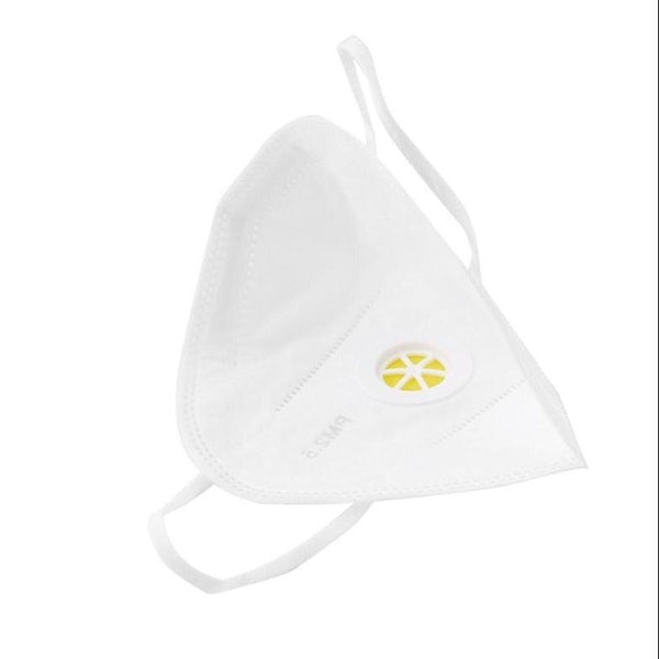 COVID 19 - Masque de Protection KN95